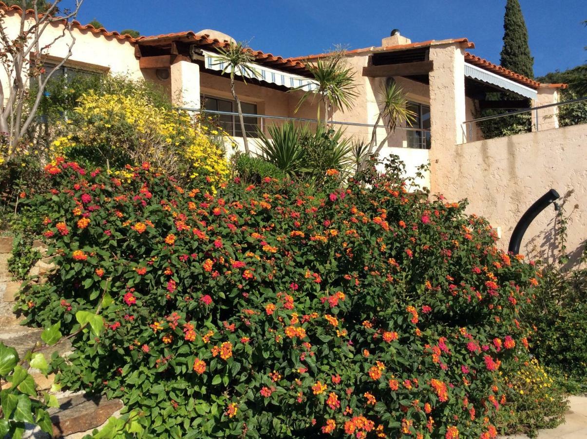 Villa Du Bau Rouge Carqueiranne Exteriér fotografie