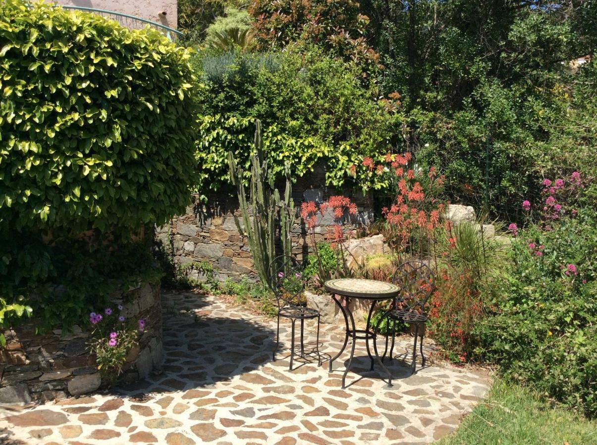 Villa Du Bau Rouge Carqueiranne Exteriér fotografie